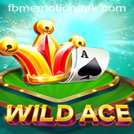 Discover the Thrills of WildAce: An Exploration of FBM EMOTION